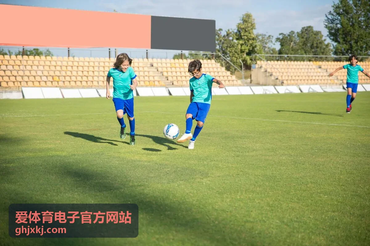 爱体育电子官方网站设备清单与方案说明